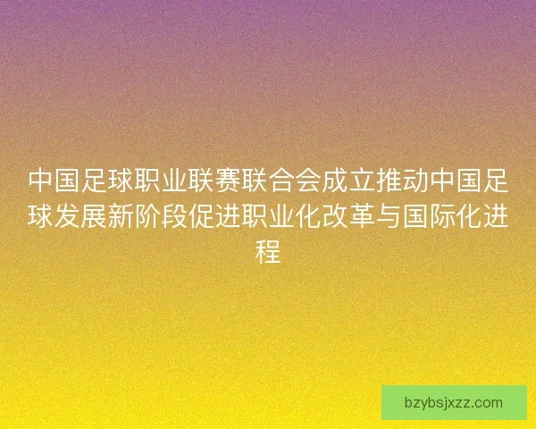 中国足球职业联赛联合会成立推动中国足球发展新阶段促进职业化改革与国际化进程
